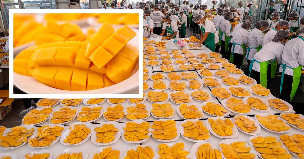 บรรยากาศงานเลี้ยง นทท.จีน สร้างสถิติ “ข้าวเหนียวมะม่วงใหญ่ที่สุดในโลก”