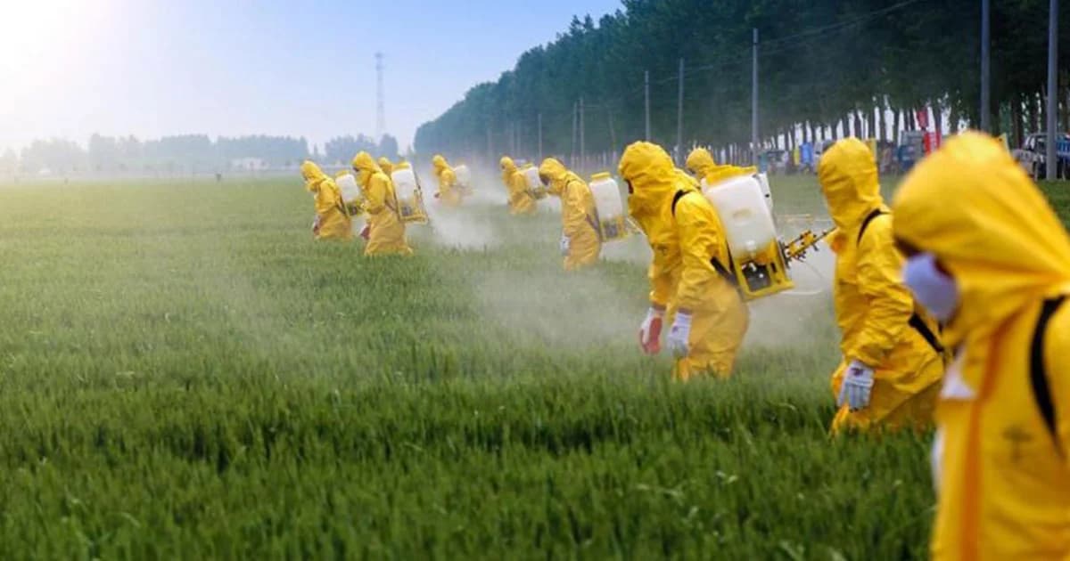 ก.เกษตรเร่งจำกัดการใช้ ‘พาราควอต’ ใน 2 ปี