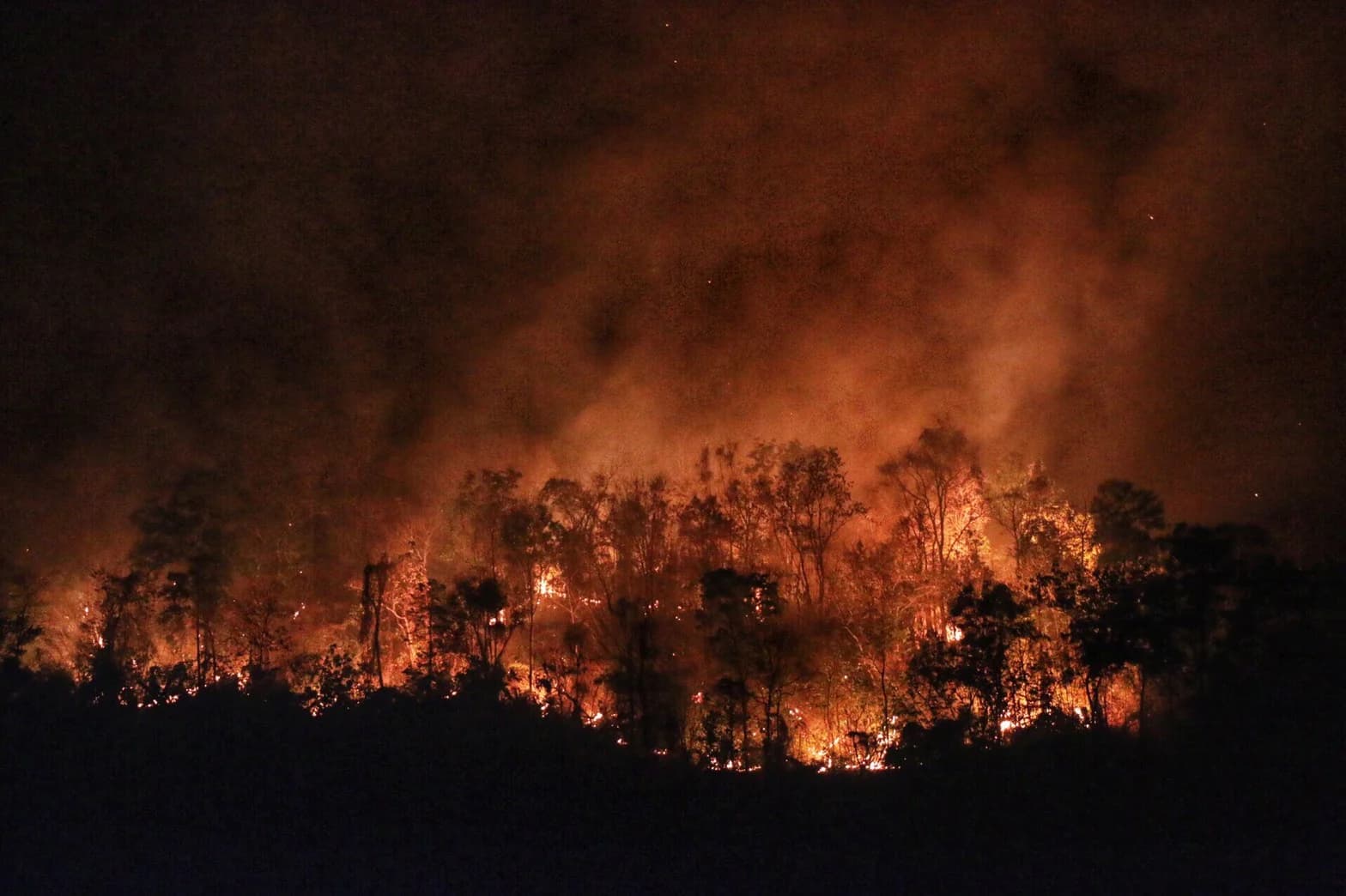 ไฟป่าสาเหตุฝุ่นพิษ PM 2.5 ปกคลุมเชียงใหม่ มาจากฝีมือมนุษย์