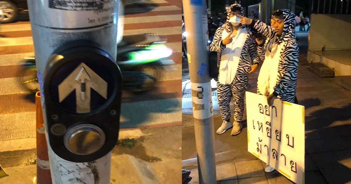 ‘มาสคอตม้าลาย’ เก้อ รอรณรงค์ปลุกสำนึกรถหยุดให้คนข้ามถนน แต่สัญญาณไฟดันไม่ติด