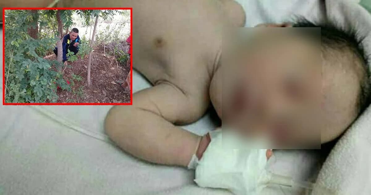 รอดปาฏิหาริย์ทารกถูกฝัง โชคดีหมาคุ้ย-คนเลี้ยงวัวช่วยทัน