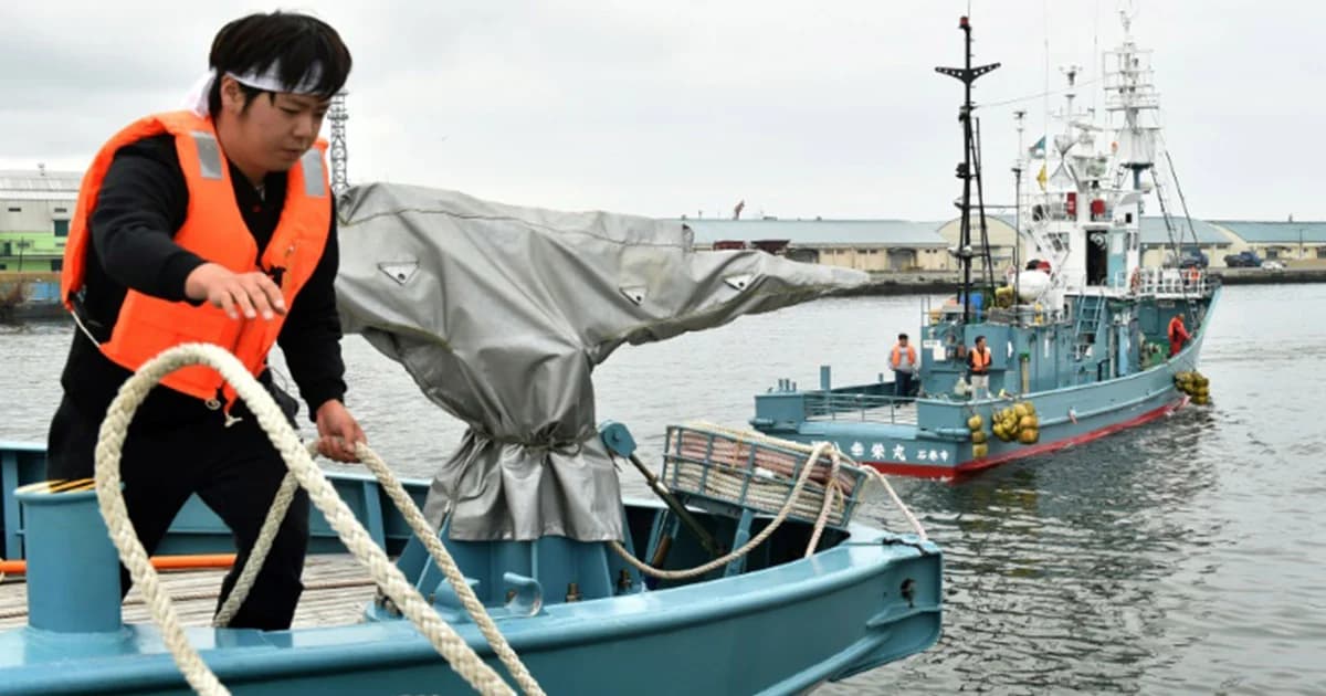เรือประมงญี่ปุ่นออกล่าวาฬครั้งแรกในรอบ 30 ปี