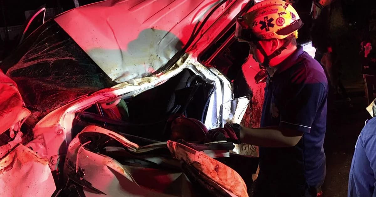 อช.เขาใหญ่ เร่งหาช้างถูกรถชนเตลิดเข้าป่า หวั่นช้างล้ม