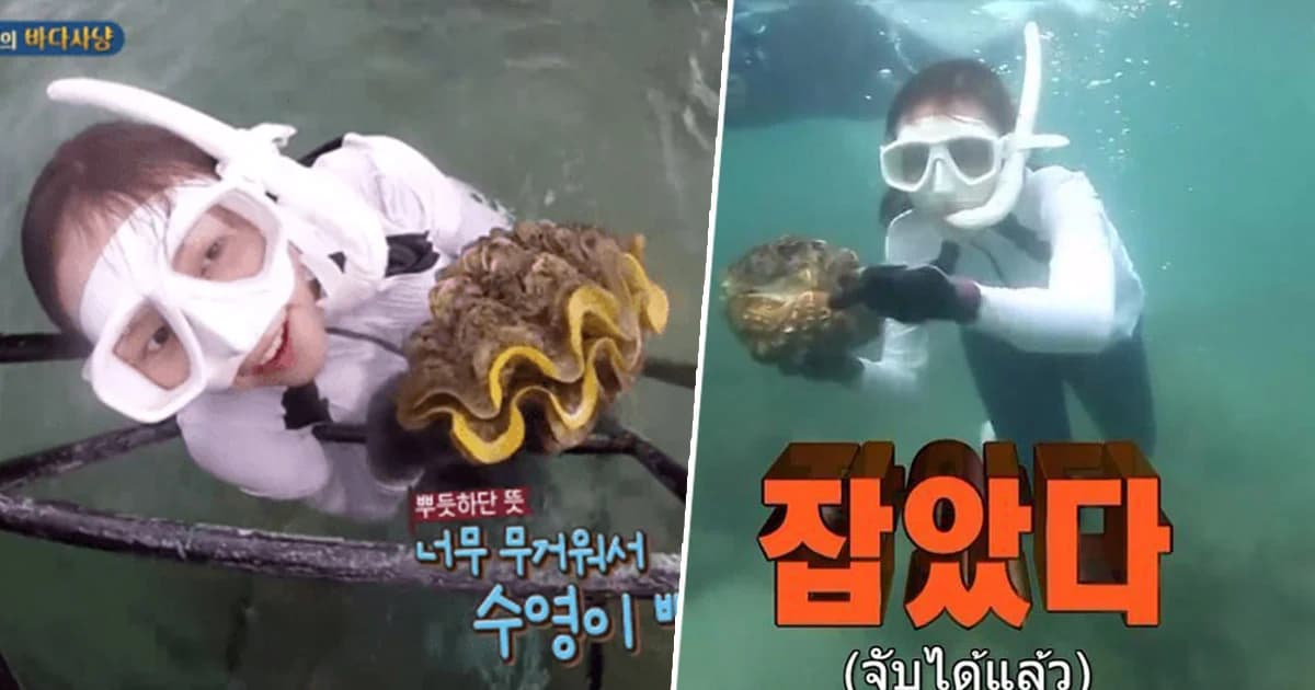 อุทยานแห่งชาติหาดเจ้าไหม แจ้งความเอาผิดสื่อเกาหลี ล่าหอยมือเสือ สัตว์ป่าคุ้มครอง