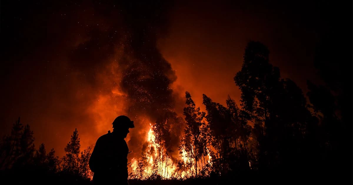 เกิดไฟไหม้ป่าในโปรตุเกส ทางการระดมเจ้าหน้าที่พันนายเข้าดับไฟป่า