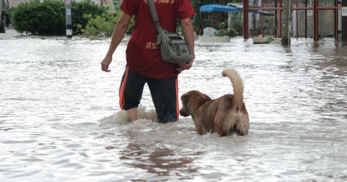 เตือนผู้ประสบภัยน้ำท่วมระวังโรคไข้ฉี่หนู หลังปีนี้พบผู้เสียชีวิตแล้ว 16 ราย