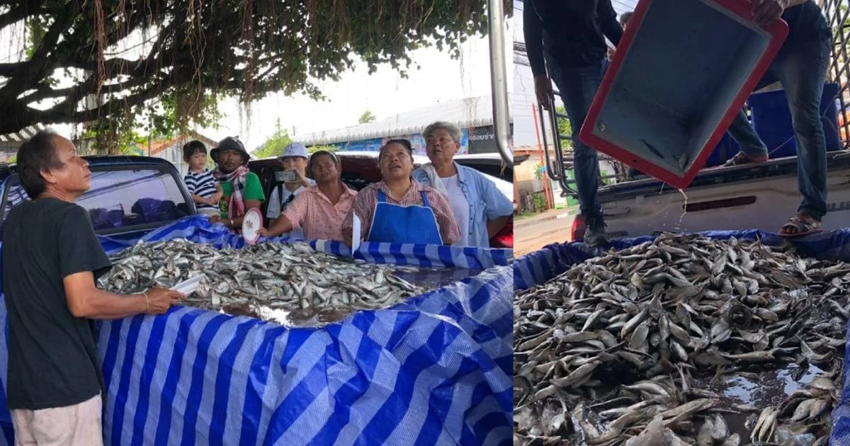 “กลุ่มประมงพื้นบ้าน” จ.ประจวบฯ ขนอาหารทะเลกว่า 1 ตัน ช่วยน้ำท่วมอุบลฯ