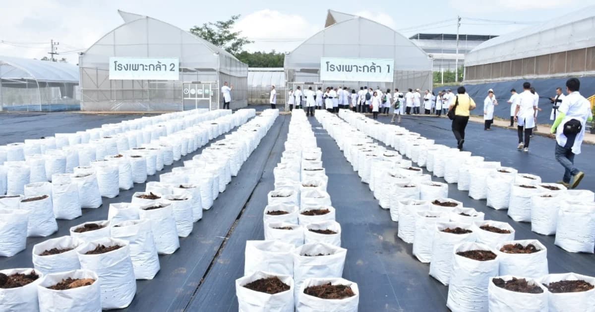 อนุทิน ปลูกกัญชาเกรดการแพทย์ ระดับอุตสาหกรรมแห่งแรกของอาเซียน