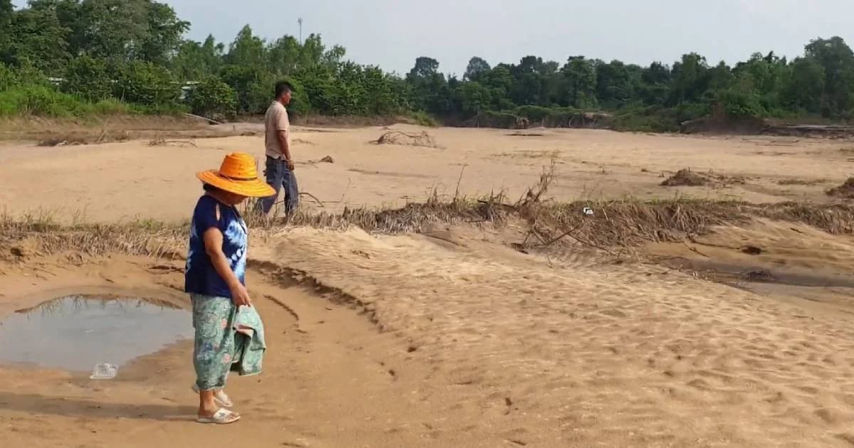 น้ำลดทรายกองท่วม ชาวนาร้อยเอ็ดหมดแรงที่นาไม่เหลือสภาพเดิม