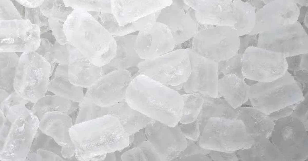 กรมปศุสัตว์ เตรียมส่งงานตรวจน้ำ-น้ำแข็ง หาเชื้อจุลินทรีย์ไปแล็บกลาง 1 ต.ค.นี้