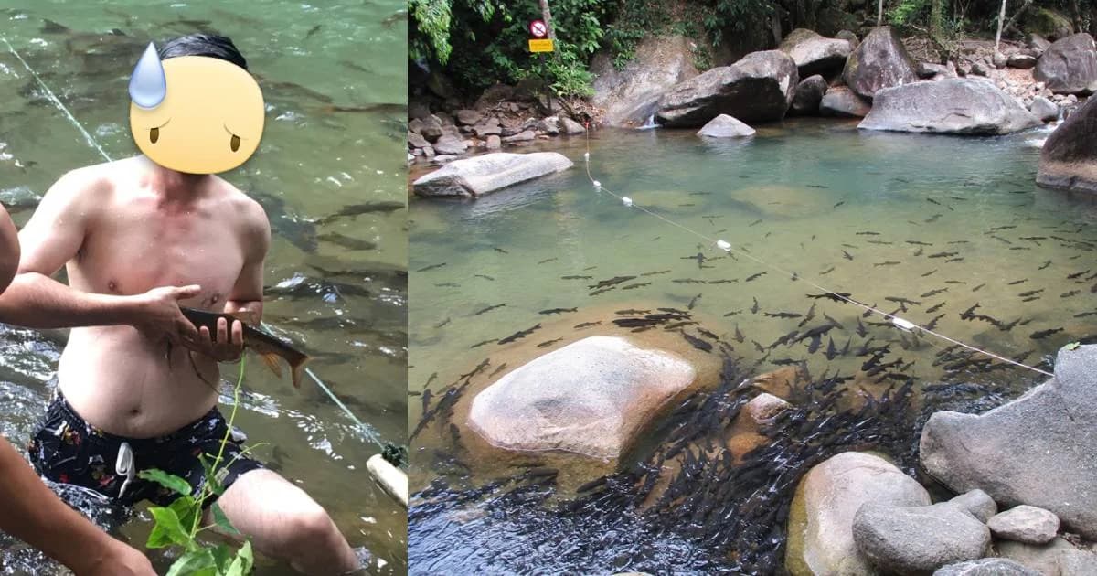 เตือนเที่ยวน้ำตกในอุทยานห้ามจับปลามาถ่ายรูป ถูกปรับแล้ว 500 บาท