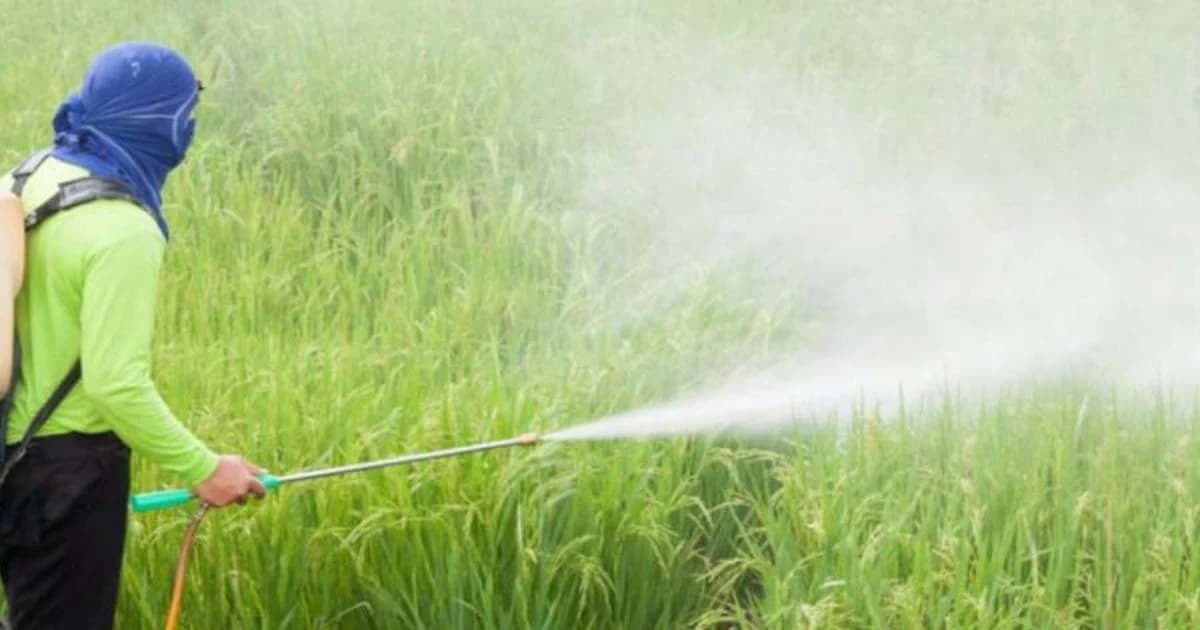 “มนัญญา” มั่นใจคุมข้าราชการแบน 3 สารการเกษตรได้ เหลือลุ้นผู้ทรงคุณวุฒิ