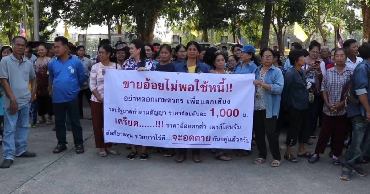 ชาวไร่อ้อยรวมตัวร้องรัฐบาล ขอตันละพัน ถ้าไม่สำเร็จพร้อมเคลื่อนเข้ากรุง