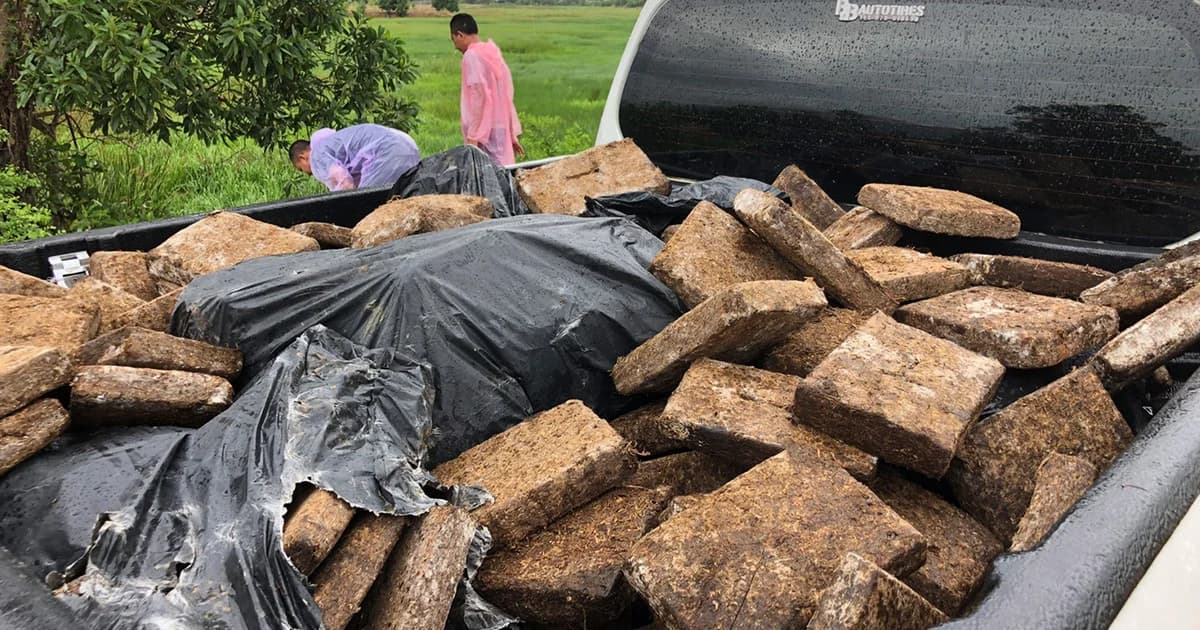 ชาวบ้านตะลึง! พบกัญชาซุกถุงดำทิ้งริมคลองหาดใหญ่-สงขลา รวมกว่า 336 กก.