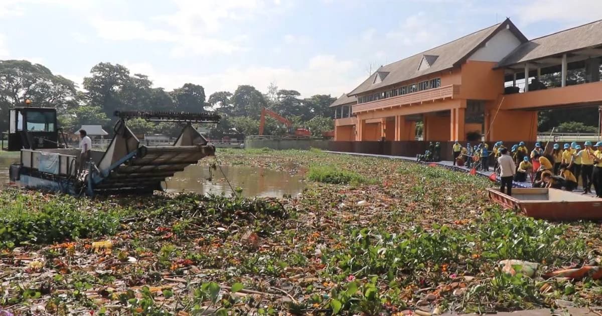 ขยะกระทงเชียงใหม่น้อยกว่าปีก่อน แต่ยังสูงถึง 40 ตัน คาด 2 วันถึงเก็บหมด