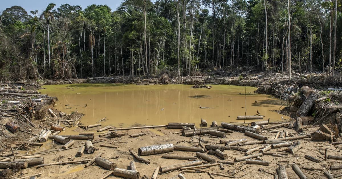 อัตราการตัดไม้ทำลายป่าในบราซิลพุ่งสูงสุดในรอบ 11 ปี