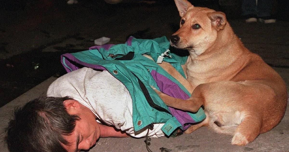 ย้ำห้ามขายเหล้าให้คนเมา-เด็กต่ำกว่า 20 ปี ร้านที่ขายโทษสูงสุดถึงจำคุก