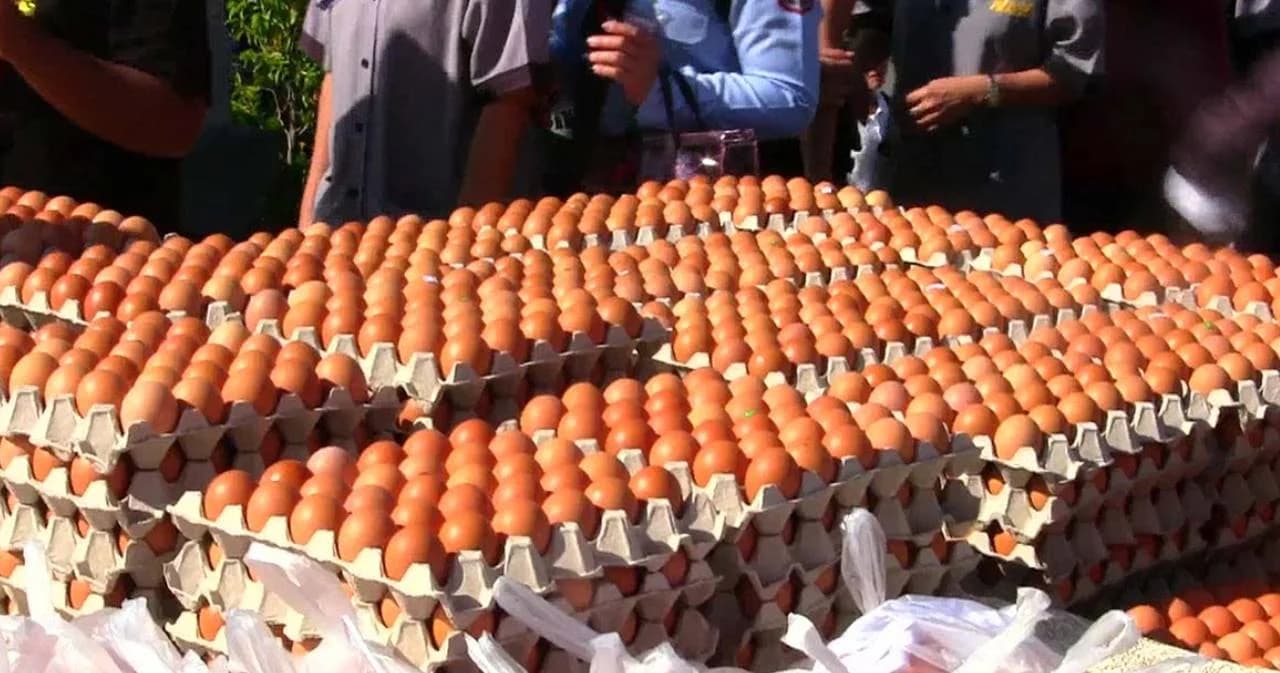 จุรินทร์ ชวนคนไทยกินไข่ไก่แก้ปัญหาไข่ล้นตลาด