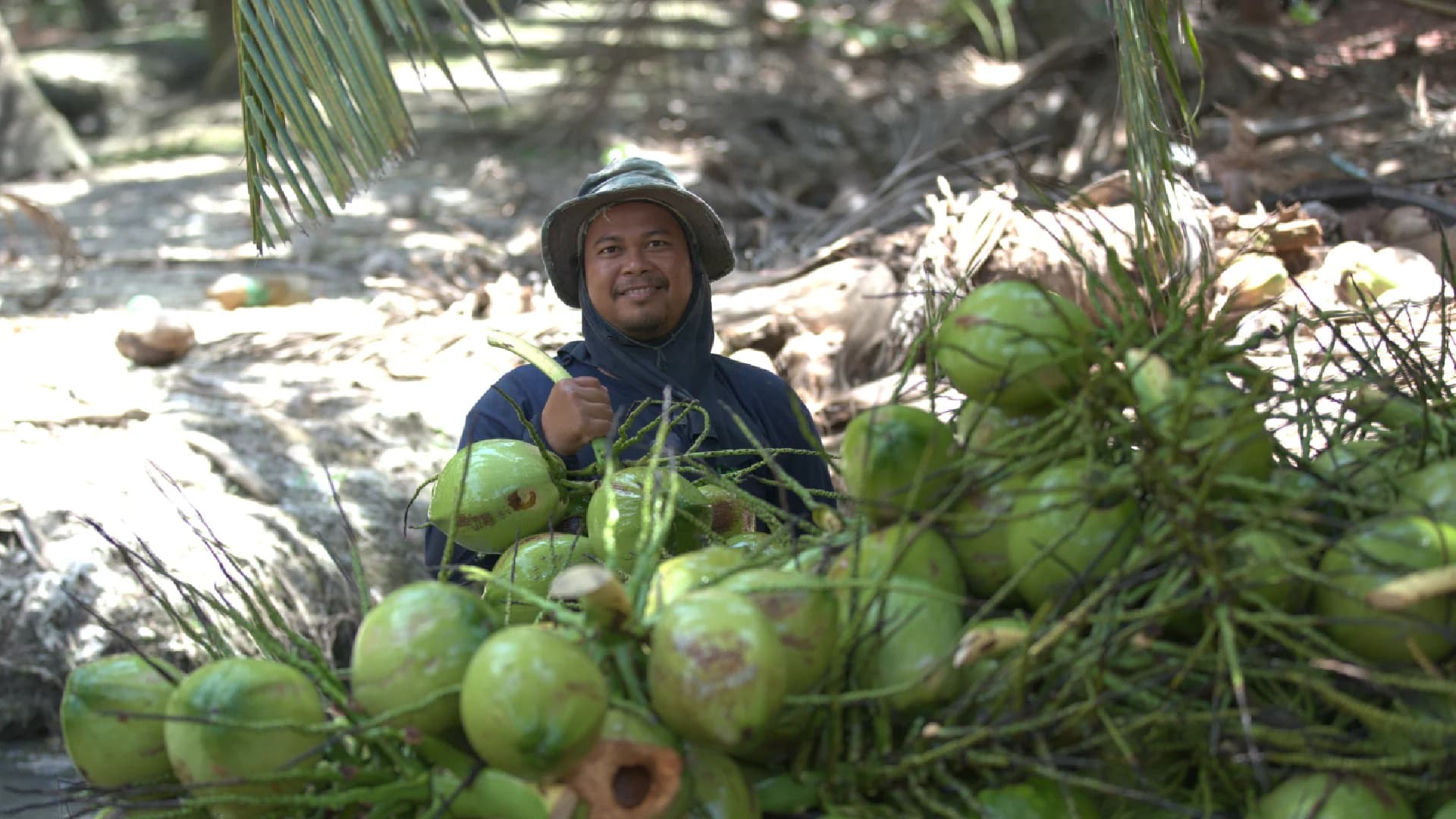 สำรวจสวนมะพร้าวไทย เจ้าของสวนยืนยันใช้ลิงขึ้นแค่ต้นสูงๆ เท่านั้น และไม่เคยทารุณกรรมสัตว์