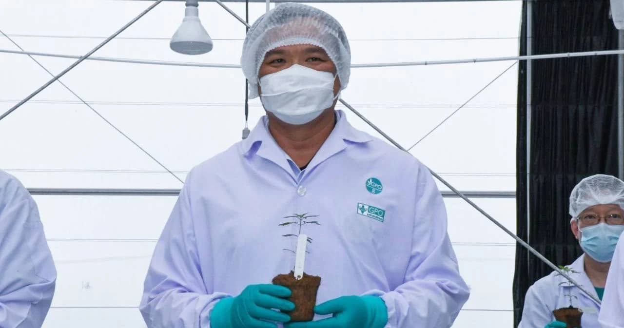 ‘อนุทิน’ เปิดโรงเรือนปลูกกัญชา ย้ำกฎหมายคลายล็อก ผ่านครม. จ่อเข้าสภาแล้ว