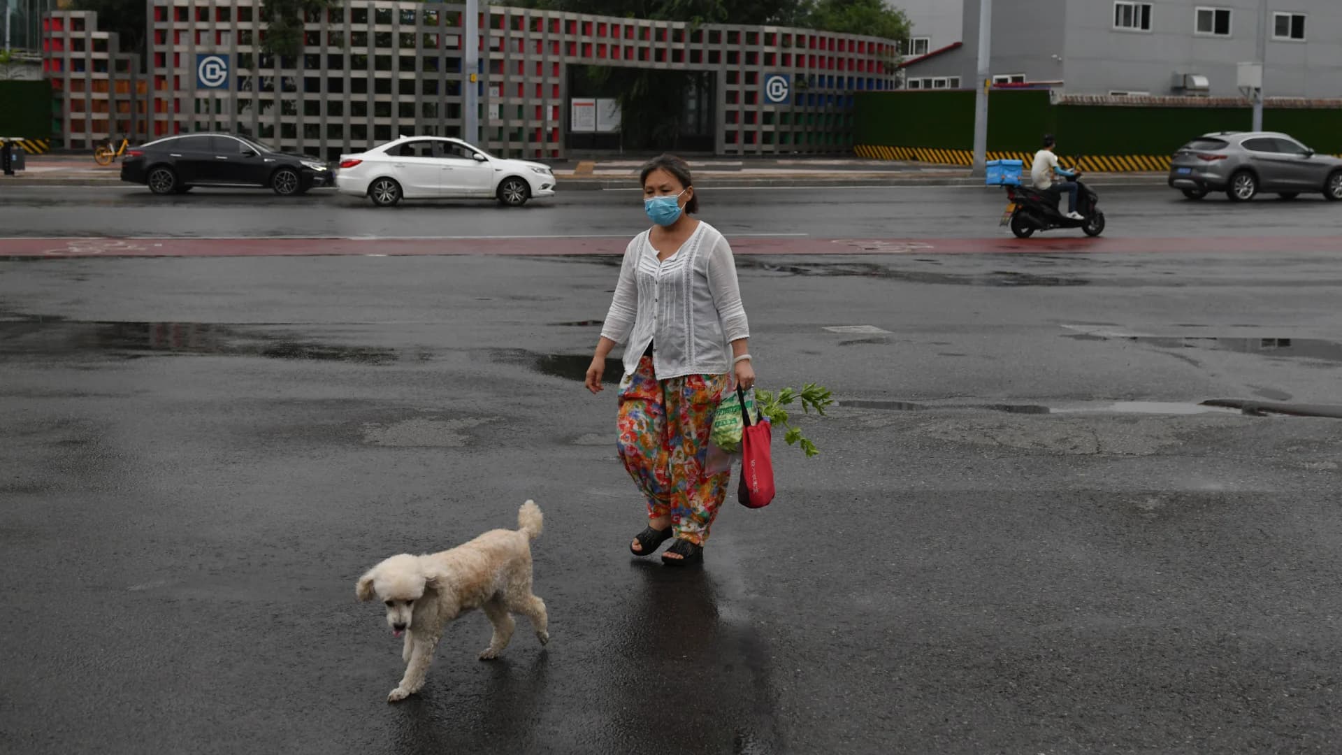 จีนทบทวนมาตรการ ห้ามนำสุนัขออกมาเดินเล่น โทษสูงสุดยึดสุนัขไปฆ่าทิ้ง