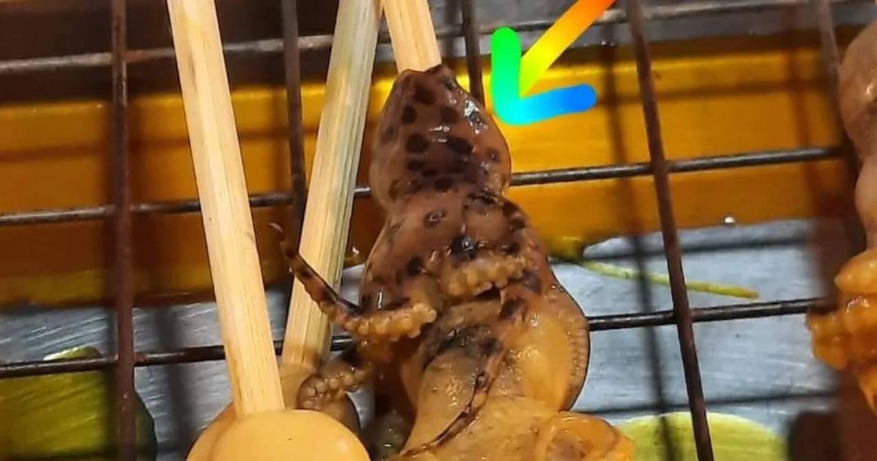 กรมทรัพยากรทางทะเลฯ เตือน พบ ‘หมึกมีพิษ’ ปะปน ‘หมึกปิ้ง’ วางขายในตลาด จ.ปทุมธานี