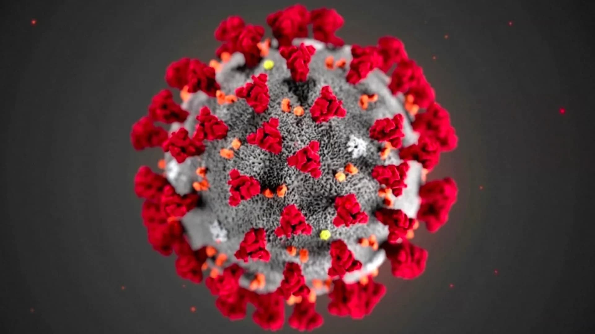 สธ.ยืนยันหญิงวัย 51 ปี จ.สิงห์บุรี ผู้ป่วยโควิด-19 รายใหม่ เดินทางเที่ยวบินเดียวกับผู้ป่วยก่อนหน้า