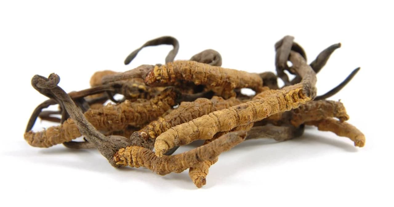 กสทช.-อย. จ่อฟันโฆษณา ‘ถั่งเช่า’ อวดอ้างสรรพคุณเกินจริง ปรับสูงสุด 5 ล้านบาท