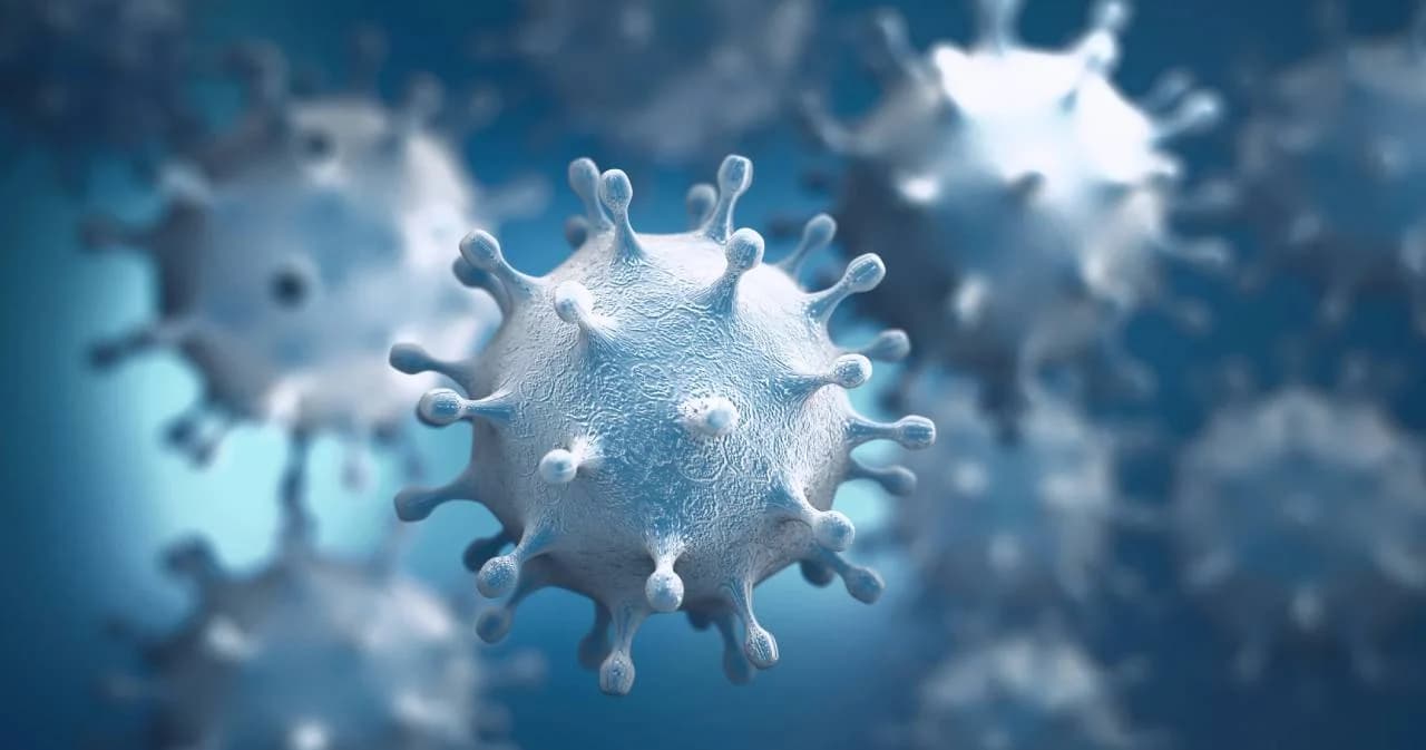 นายกฯ มั่นใจเศรษฐกิจไทยฟื้นต่อเนื่อง พร้อมเร่งออกมาตรการกระตุ้น ยันคุมโควิด-19 ระลอกนี้ได้ เชื่อ ปชช.ร่วมมือ