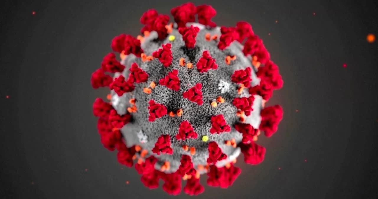 พนักงาน รง.แปรรูปเนื้อไก่ ติดโควิด-19 แล้ว 391 ราย จ.สระบุรี สั่งปิด 14 วัน