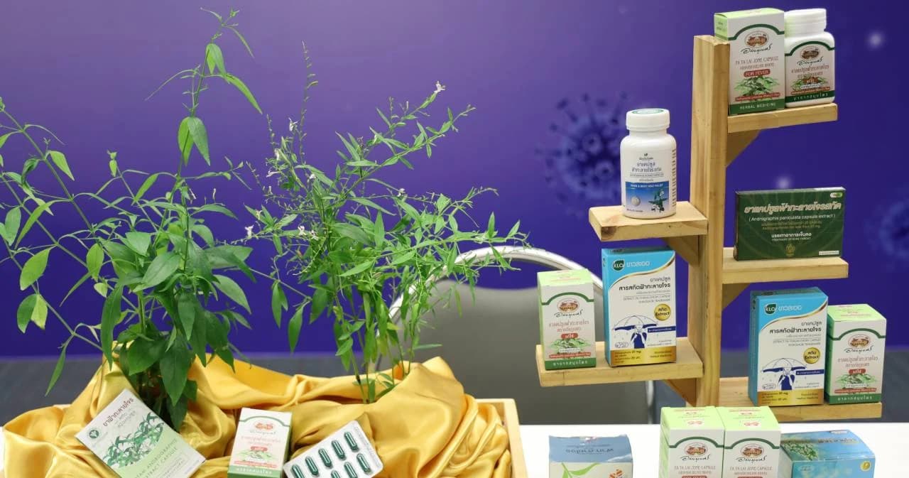 ราชกิจจาฯ ประกาศเพิ่มฟ้าทะลายโจร ในบัญชียาหลักสมุนไพร รักษาโควิด-19 ผู้ป่วยที่มีความรุนแรงน้อย