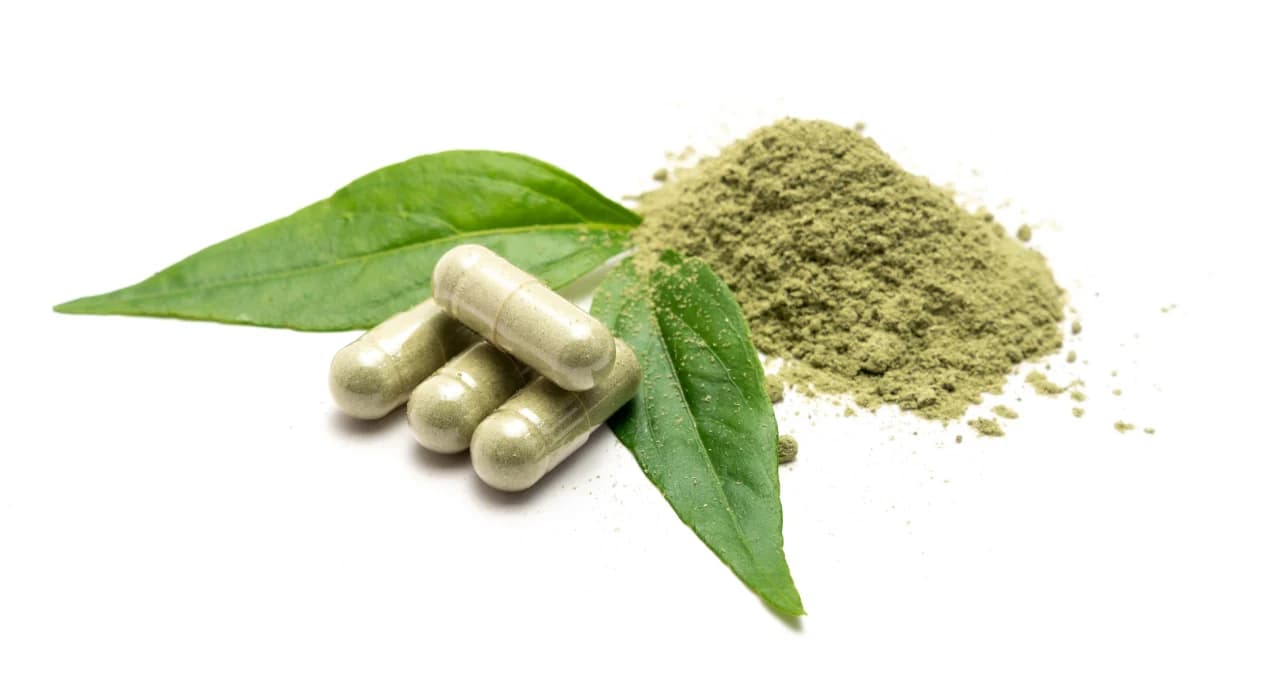 กรมการแพทย์แผนไทยฯ เตือน กินฟ้าทะลายโจรผิดวิธี ไม่ได้มาตรฐาน เสี่ยงอันตราย