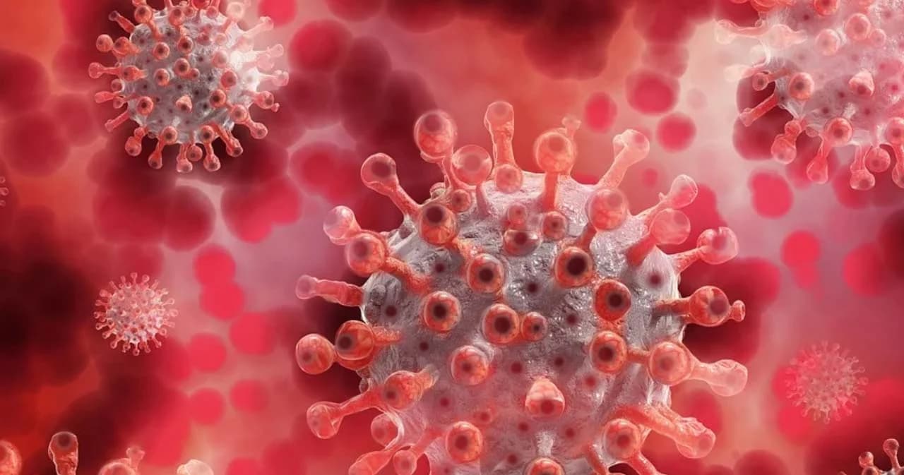 พบ 1 ใน 17 ผู้สัมผัสเสี่ยงผู้ป่วย ‘โอไมครอน’ รายแรก ติดโควิด ยังไม่ยืนยันสายพันธุ์