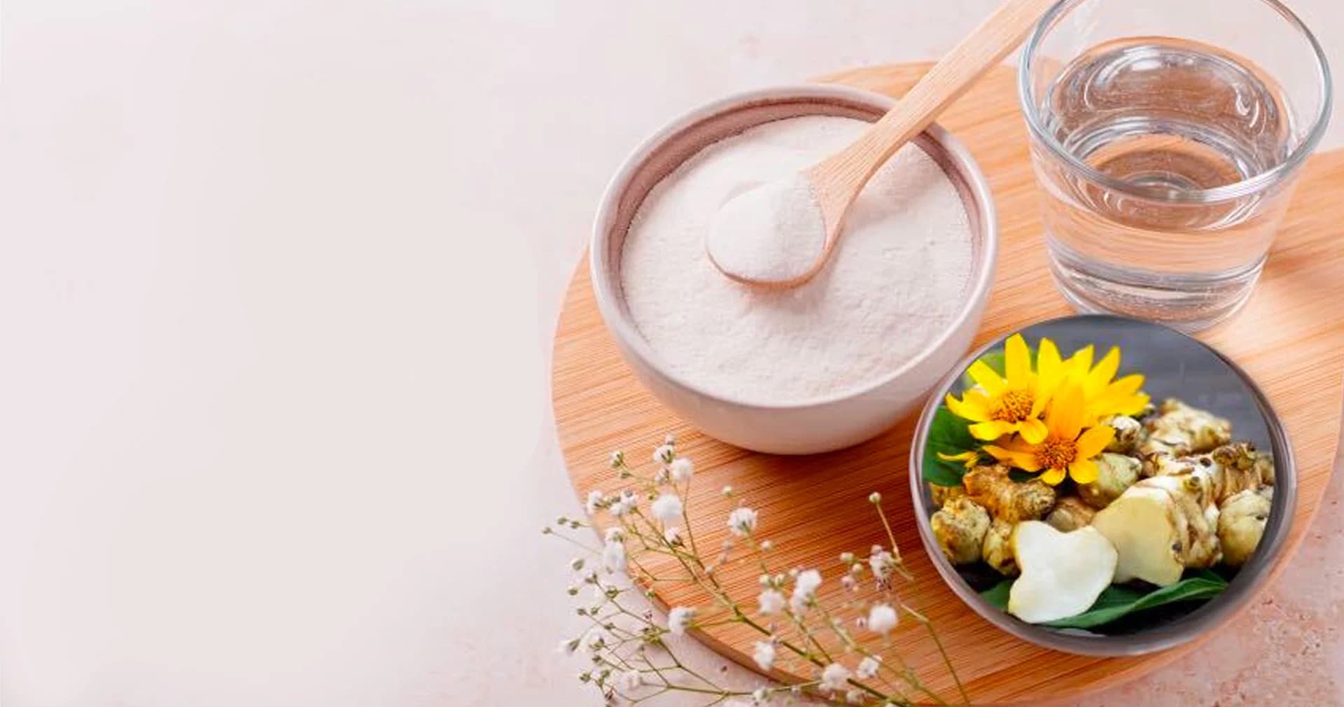 อินนูลินจากแก่นตะวัน สู่อาหารฟังก์ชันลดโรคอ้วน โดยทีมวิจัย จุฬาฯ