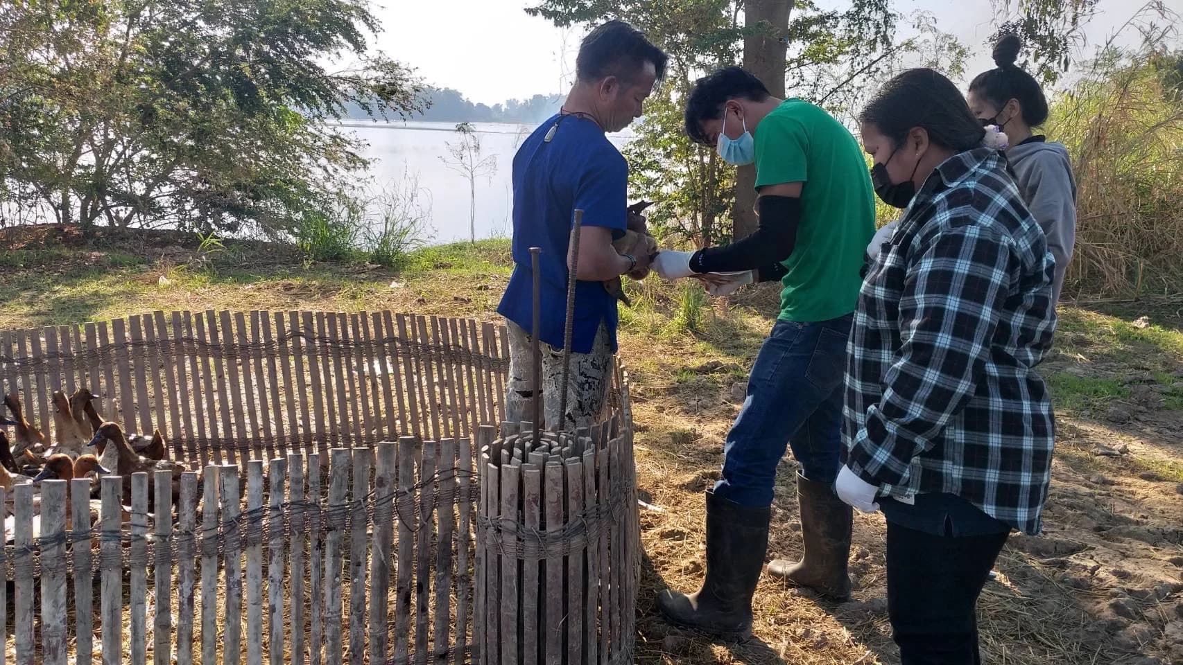 ปศุสัตว์ คุมเข้ม หวัดนก หลัง WHO เตือนระบาดในจีนติดเชื้อ 5 ราย ในจำนวนนี้เสียชีวิต 2 ราย