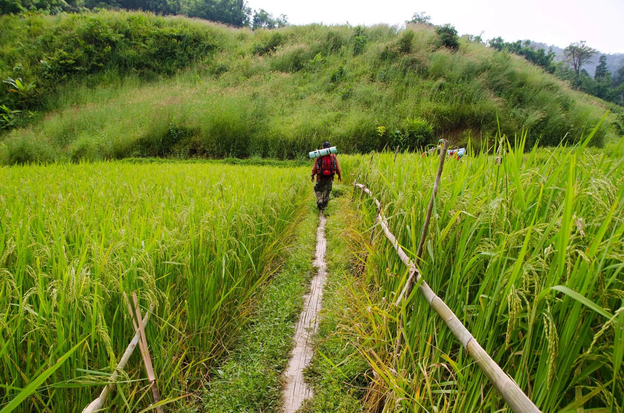 เพิ่มอีก 1 ล้านสิทธิ ‘เราเที่ยวด้วยกัน’ เฟส 4 ขยายเวลาเที่ยวถึง ก.ย.64