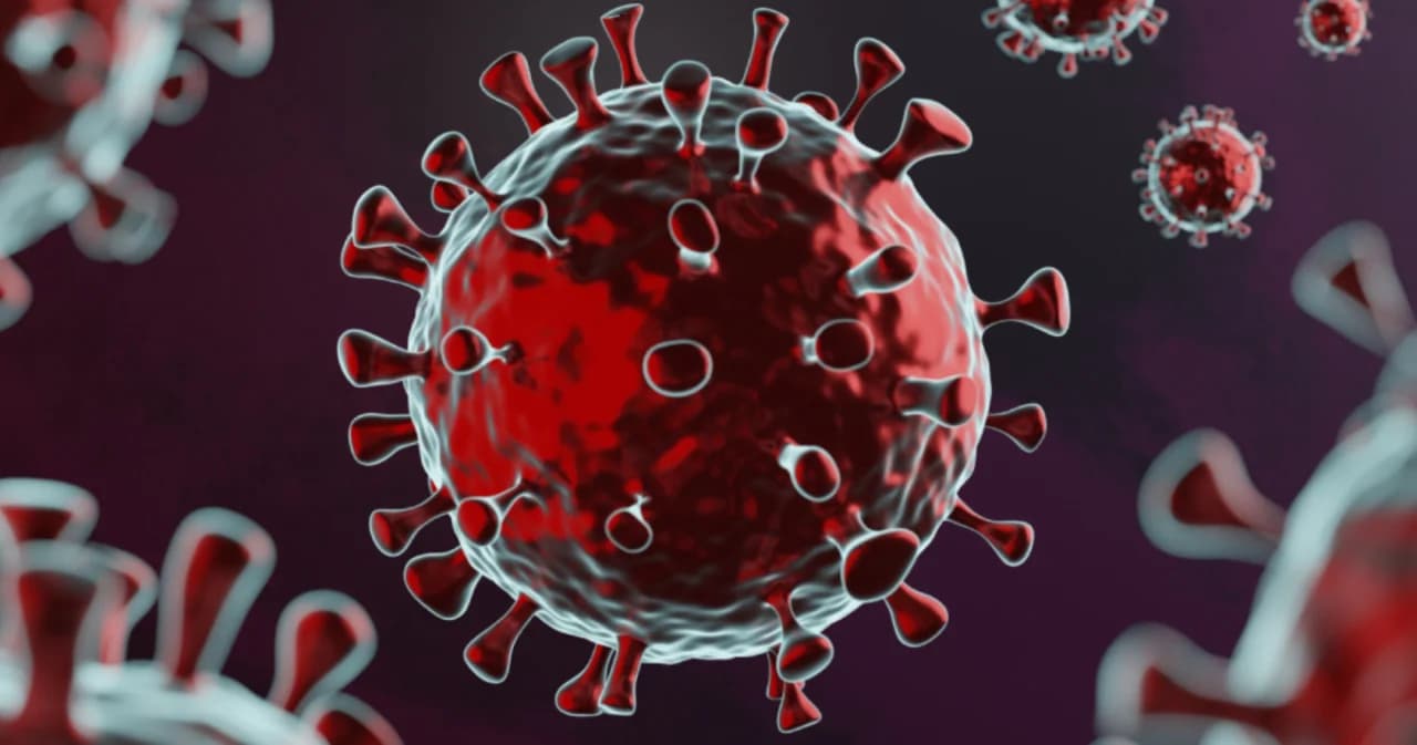 องค์การอนามัยโลกประเมิน 90% ของประชากรโลก เคยต่อสู้กับโควิด-19 มาแล้ว