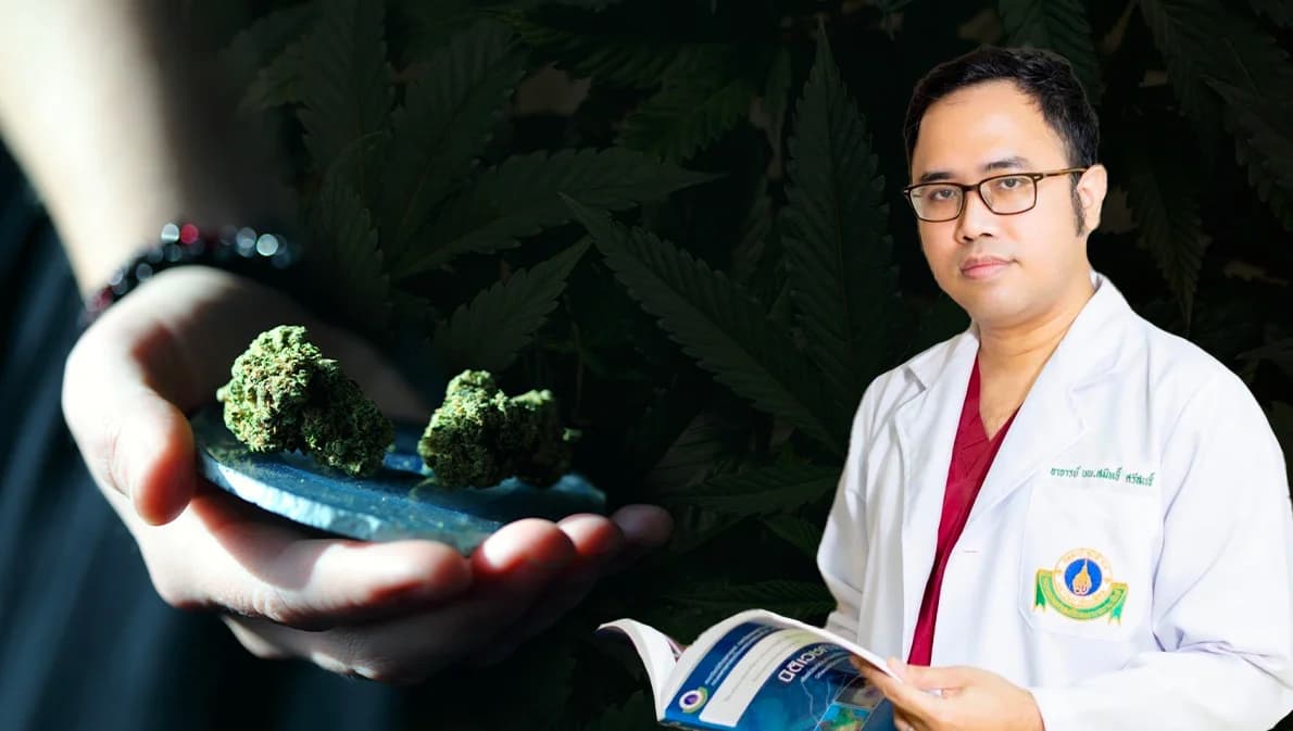 เปิดข้อมูลศูนย์พิษวิทยาฯ พบผู้ป่วยจากการใช้กัญชาเพิ่ม 3.5 เท่า