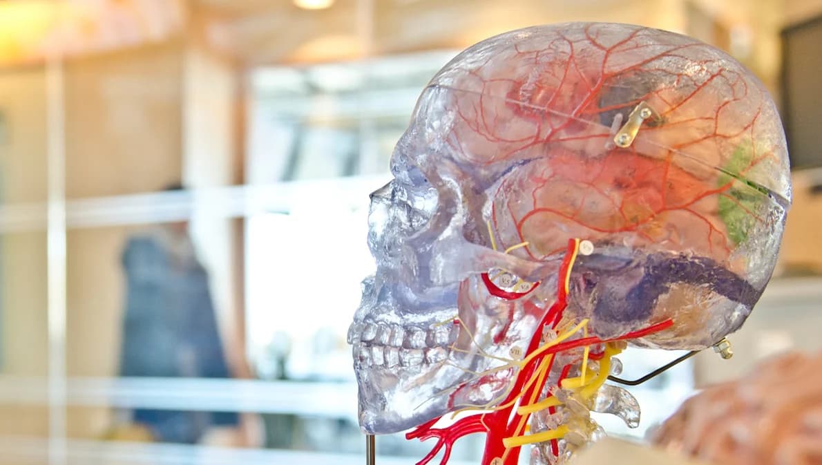 โรคสมองอักเสบจาก ‘เชื้ออะมีบา’ ไม่ติดต่อระหว่างคน