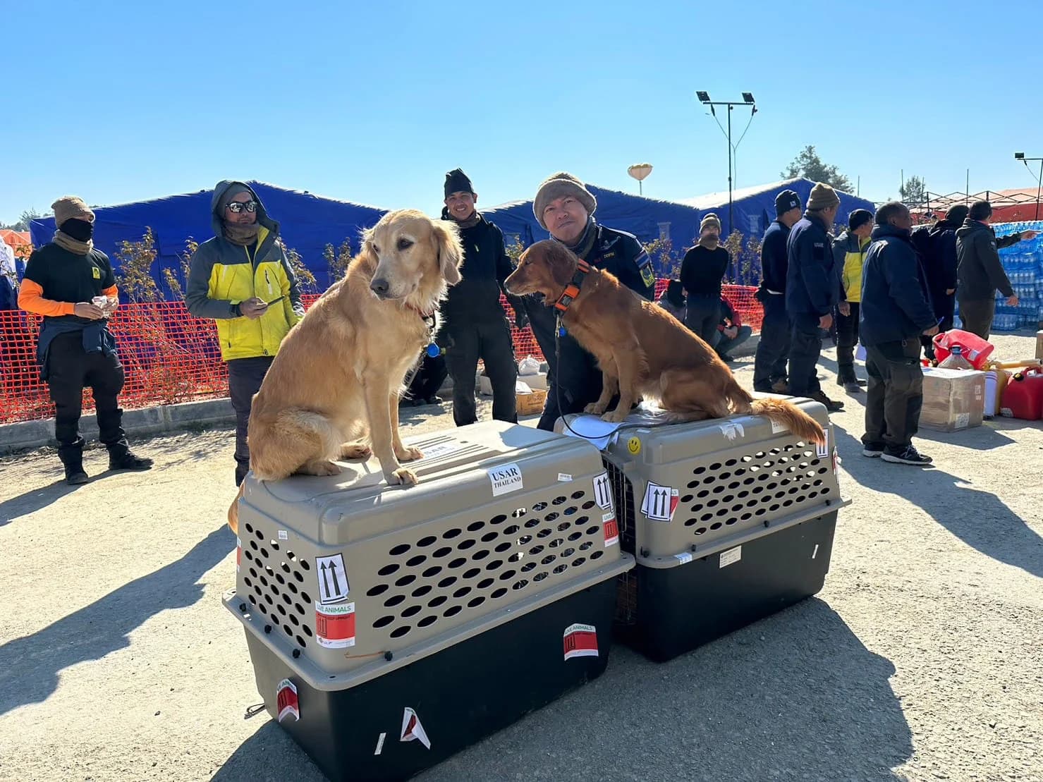 ทีม USAR Thailand แจ้งยุติภารกิจค้นหาผู้ประสบภัยแผ่นดินไหวตุรกี เตรียมกลับไทย 18 ก.พ.นี้