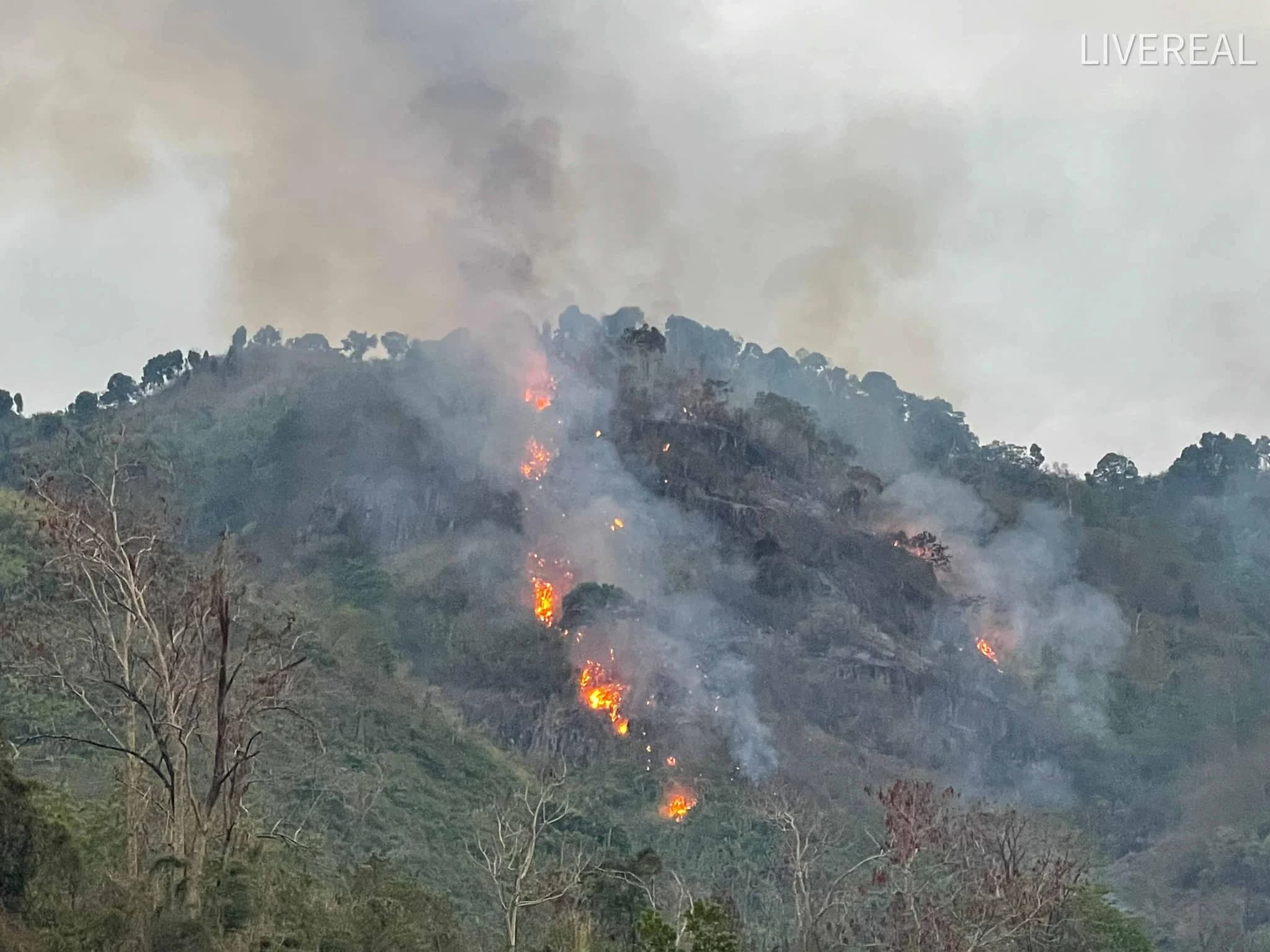 ไฟป่าเผาวอด 700 ไร่ ‘เขาแหลม’ นครนายก 2 วันยังควบคุมไม่ได้