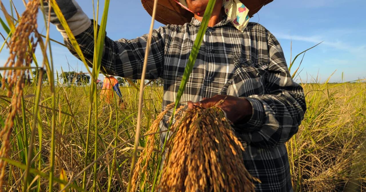 เปิดเงื่อนไข ‘พักหนี้เกษตรกร’ 3 ปี เริ่ม 1 ต.ค.นี้-เล็งปล่อยกู้รายละ 1 แสนบาท