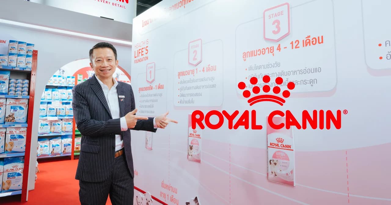 คนรุ่นใหม่เลือก ‘แมว’ มากกว่า เพราะเงียบ กินน้อย ดูแลง่าย คุยกับ Royal Canin ถึงอินไซต์ตลาดอาหารน้องหมาน้องแมว