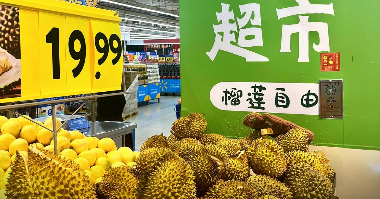 ทุเรียนไทยในสายตาจีน แพงกว่าแต่ถูกปาก อย่าประมาททุเรียนเพื่อนบ้าน