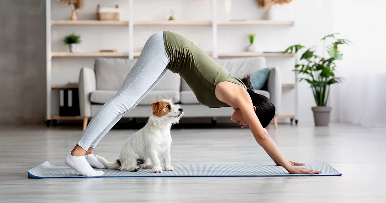 โยคะไม่เหงาเมื่อเรามีน้อน เทรนด์ Doga เมื่อ Dog และ Yoga มาเจอกัน