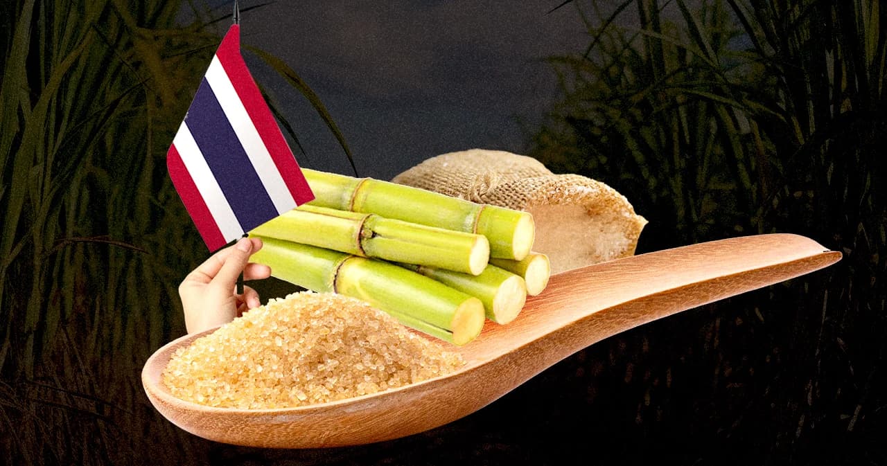 “รู้หรือไม่? น้ำตาลไทยอยู่เบื้องหลังเศรษฐกิจไทย”