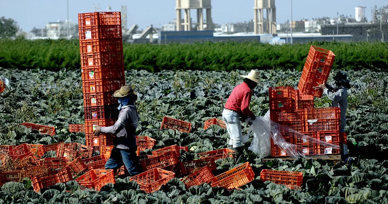 เมื่อความเสี่ยงคือราคาของการอยู่รอด สองปีที่เสียงไซเรนไม่เคยเงียบ อิสราเอลยังถูกมองเป็นโอกาสของแรงงานไทย