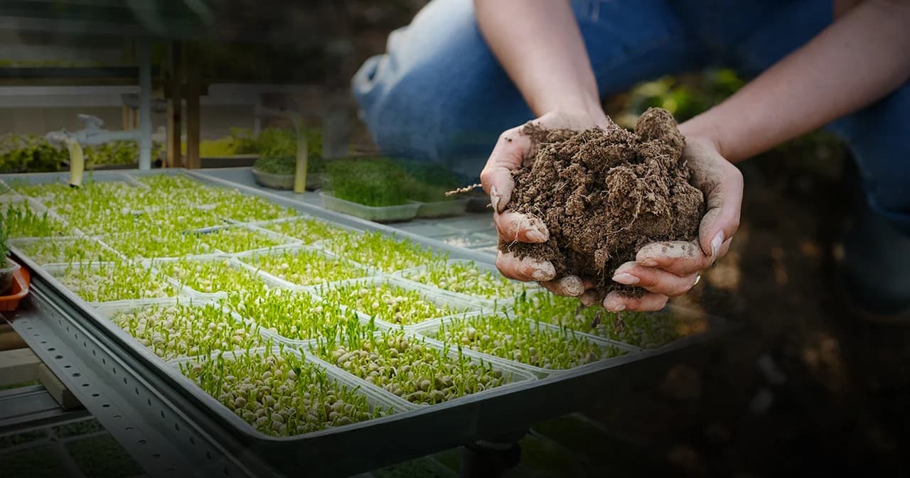 ดัน 'เกษตรกรรมเชิงฟื้นฟู' ขุมทรัพย์ใหม่ประเทศไทย ดึงเม็ดเงินตลาดโลก