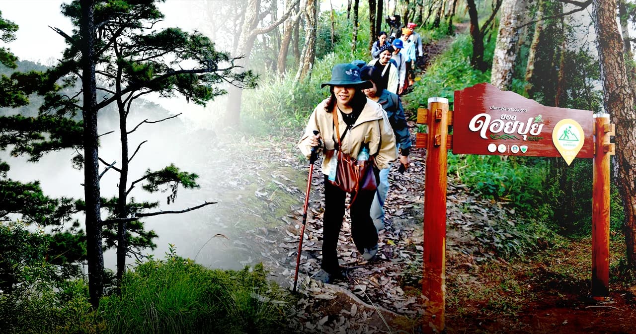 หลงเสน่ห์ยอดดอยปุย สำรวจป่าต้นน้ำกับ EGCO Group เส้นทางศึกษาธรรมชาติ ‘ป่าหลังบ้านของเมืองเชียงใหม่’